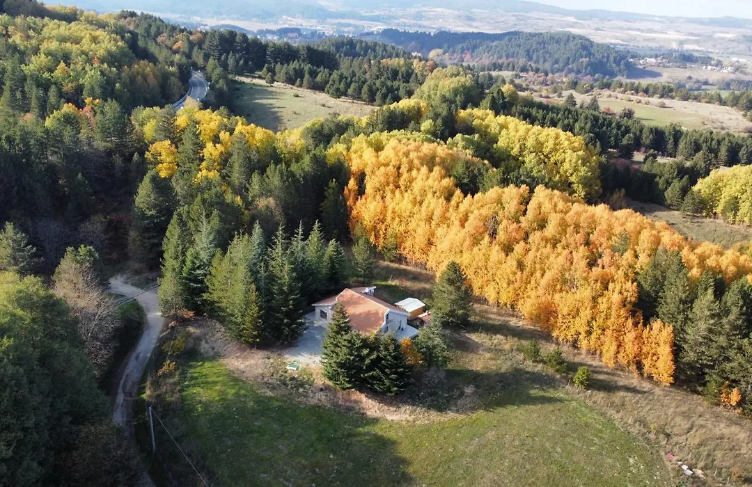 Villa dei Larici-1